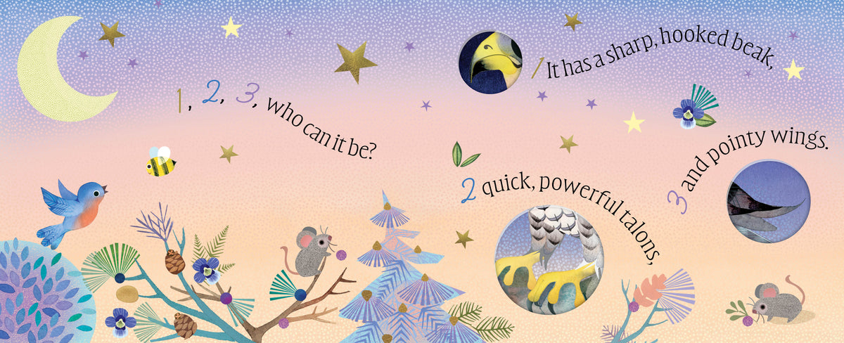 Birds: A Peek-a-Who Book