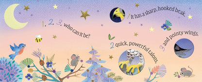Birds: A Peek-a-Who Book