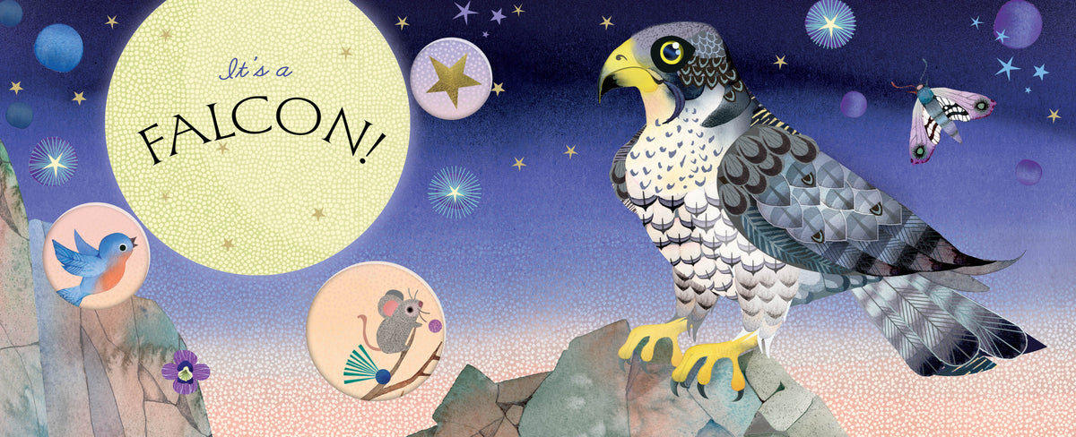 Birds: A Peek-a-Who Book