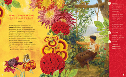 The Illustrated William Shakespeare