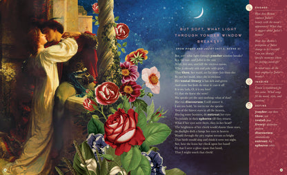 The Illustrated William Shakespeare