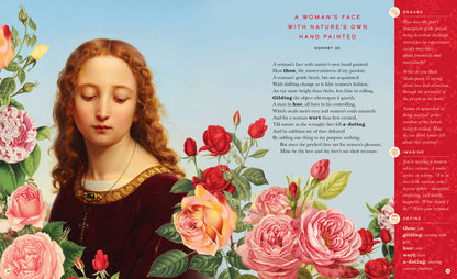 The Illustrated William Shakespeare
