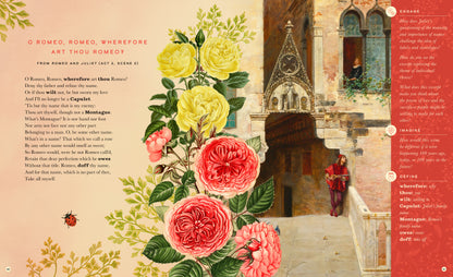 The Illustrated William Shakespeare