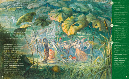 The Illustrated William Shakespeare