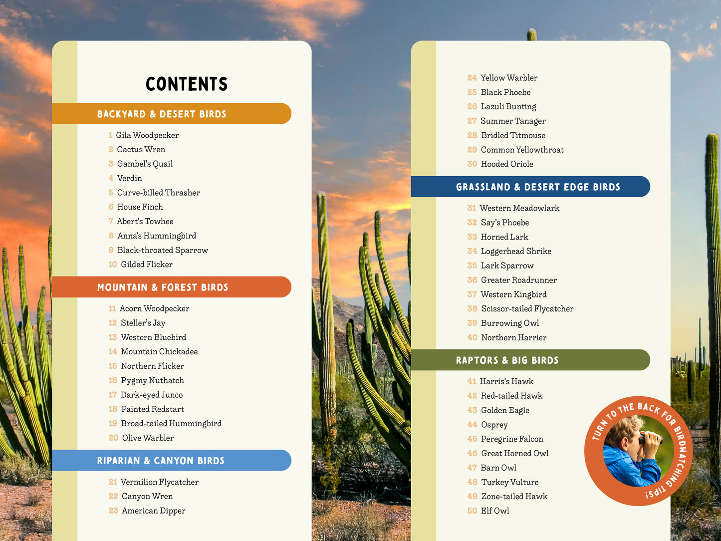 A Kid’s Guide to Birds of Arizona