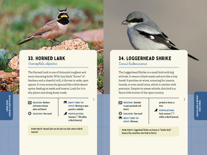 A Kid’s Guide to Birds of Arizona