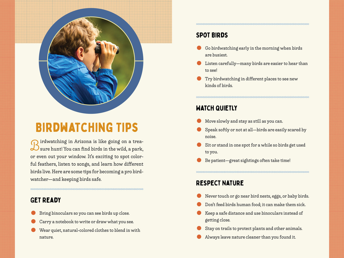 A Kid’s Guide to Birds of Arizona