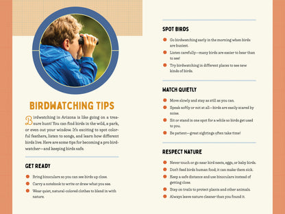 A Kid’s Guide to Birds of Arizona
