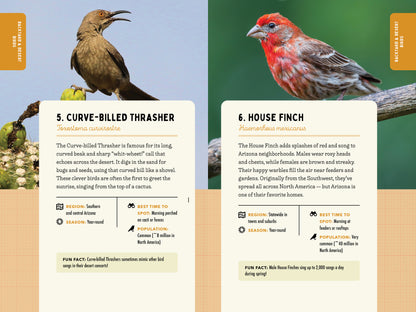 A Kid’s Guide to Birds of Arizona