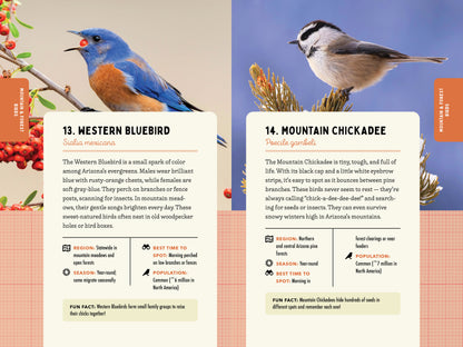 A Kid’s Guide to Birds of Arizona