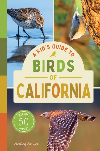 A Kid’s Guide to Birds of California