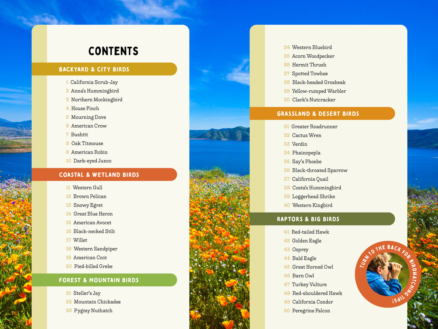 A Kid’s Guide to Birds of California