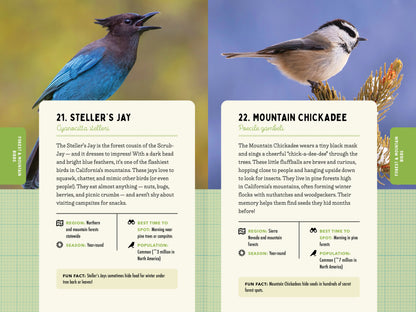 A Kid’s Guide to Birds of California
