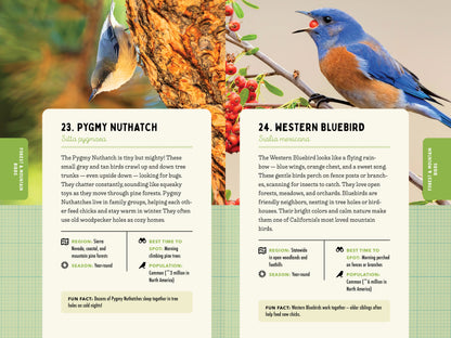 A Kid’s Guide to Birds of California