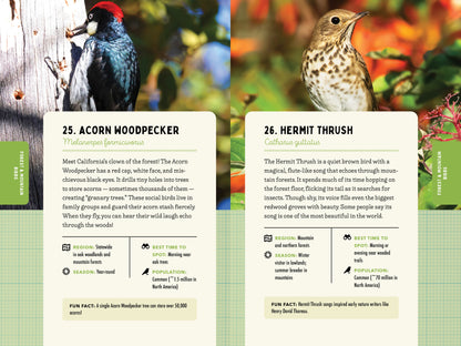A Kid’s Guide to Birds of California