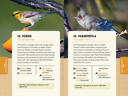 A Kid’s Guide to Birds of California