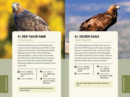A Kid’s Guide to Birds of California