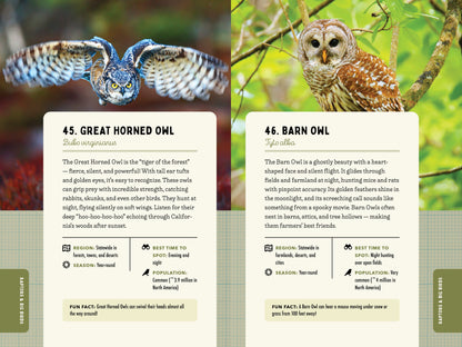 A Kid’s Guide to Birds of California