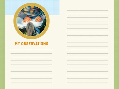 A Kid’s Guide to Birds of California