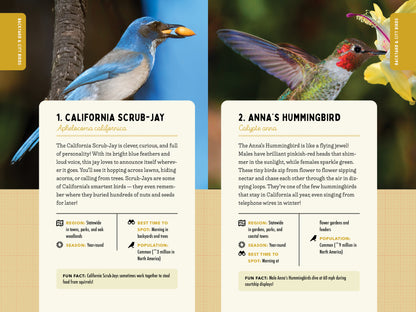 A Kid’s Guide to Birds of California