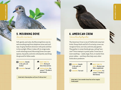 A Kid’s Guide to Birds of California