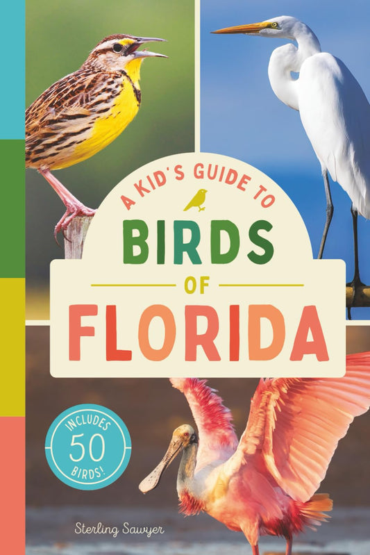 A Kid’s Guide to Birds of Florida