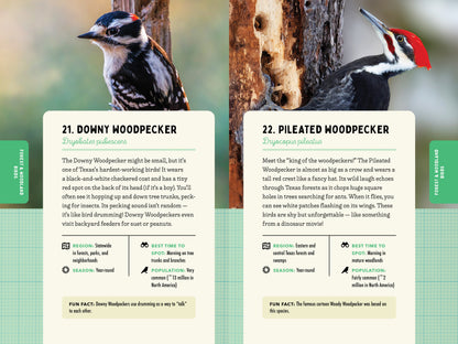 A Kid’s Guide to Birds of Texas