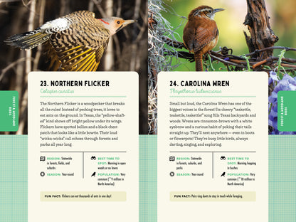 A Kid’s Guide to Birds of Texas