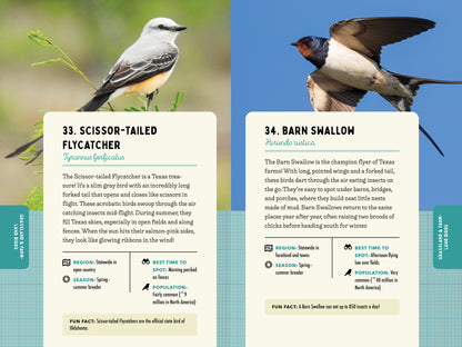 A Kid’s Guide to Birds of Texas