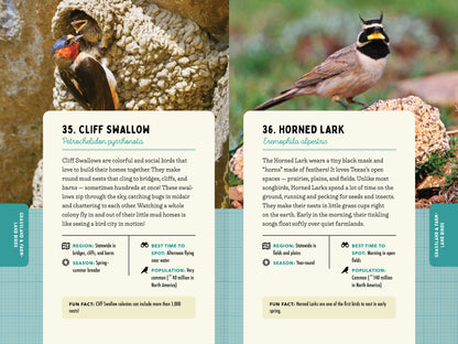 A Kid’s Guide to Birds of Texas