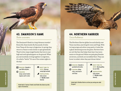 A Kid’s Guide to Birds of Texas