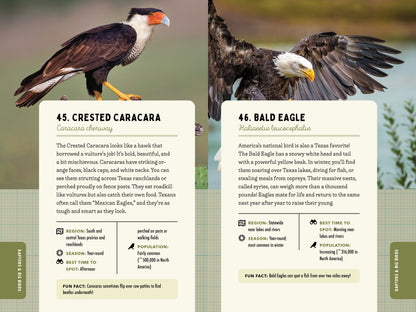 A Kid’s Guide to Birds of Texas