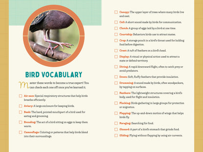A Kid’s Guide to Birds of Texas