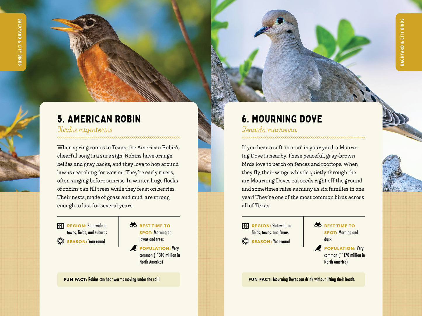A Kid’s Guide to Birds of Texas
