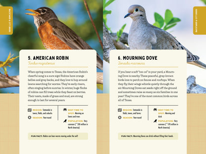 A Kid’s Guide to Birds of Texas
