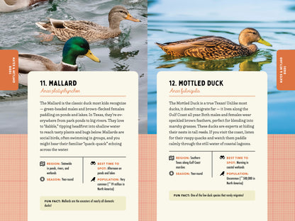 A Kid’s Guide to Birds of Texas