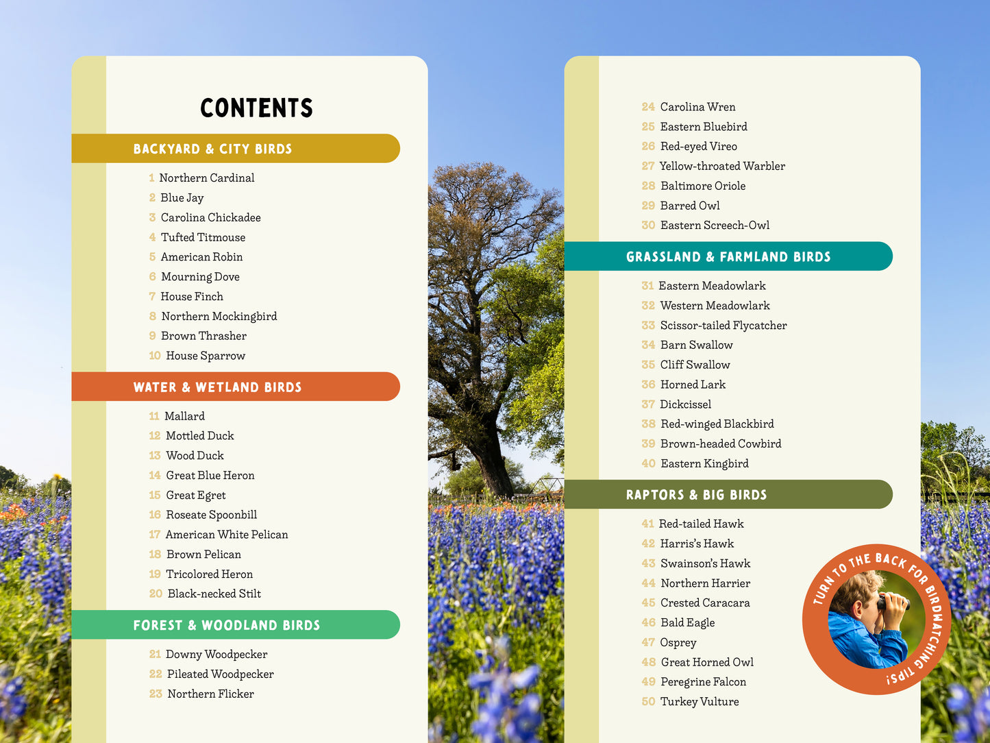 A Kid’s Guide to Birds of Texas