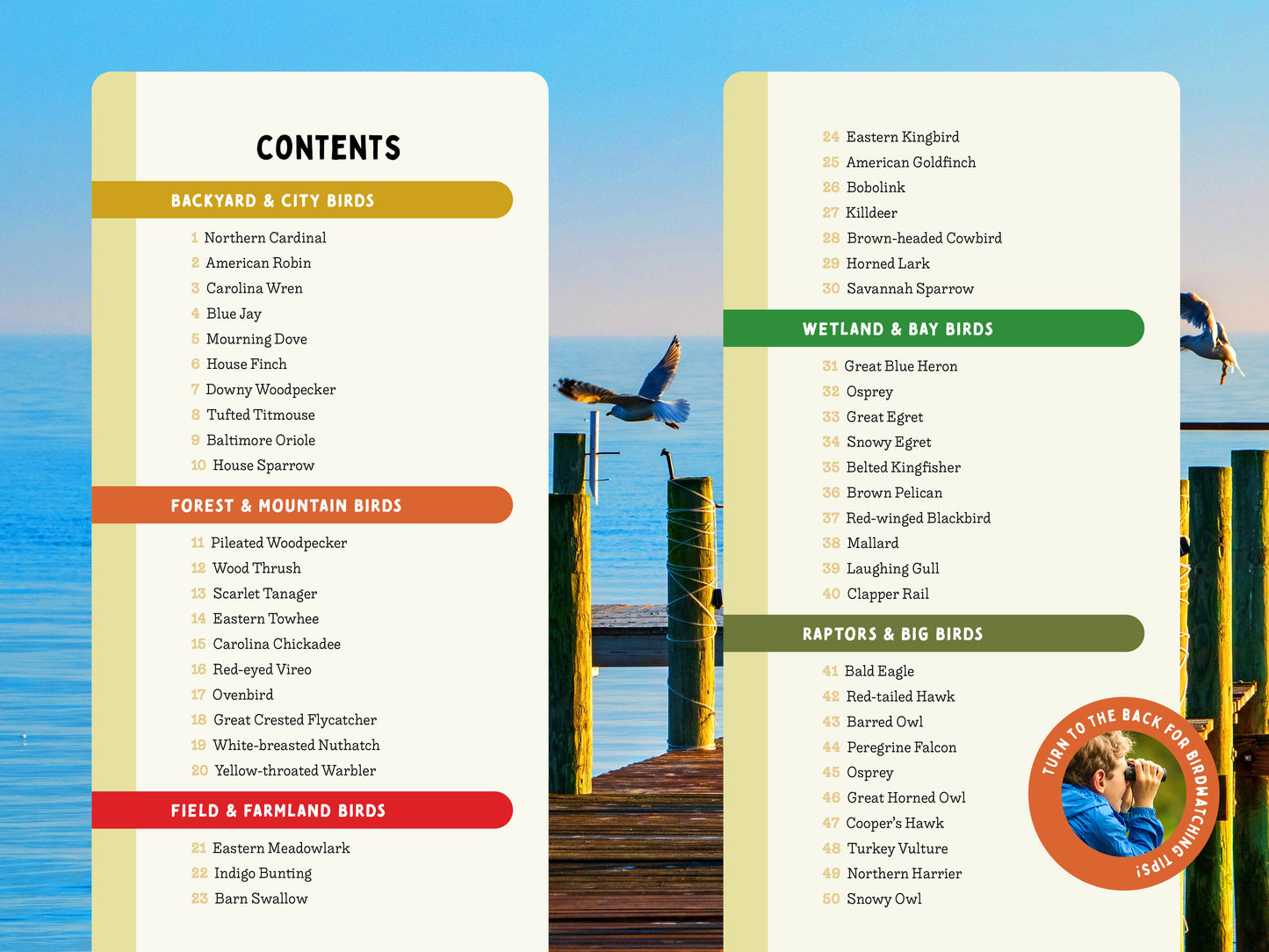 A Kid’s Guide to Birds of Maryland