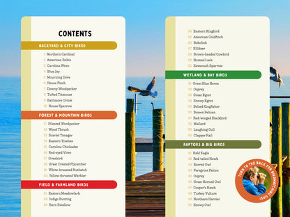 A Kid’s Guide to Birds of Maryland