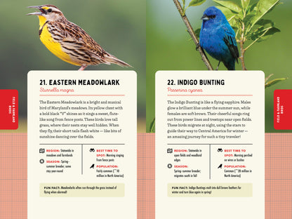 A Kid’s Guide to Birds of Maryland
