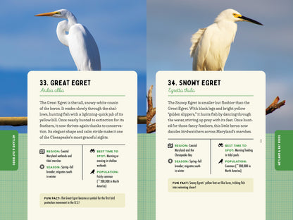 A Kid’s Guide to Birds of Maryland