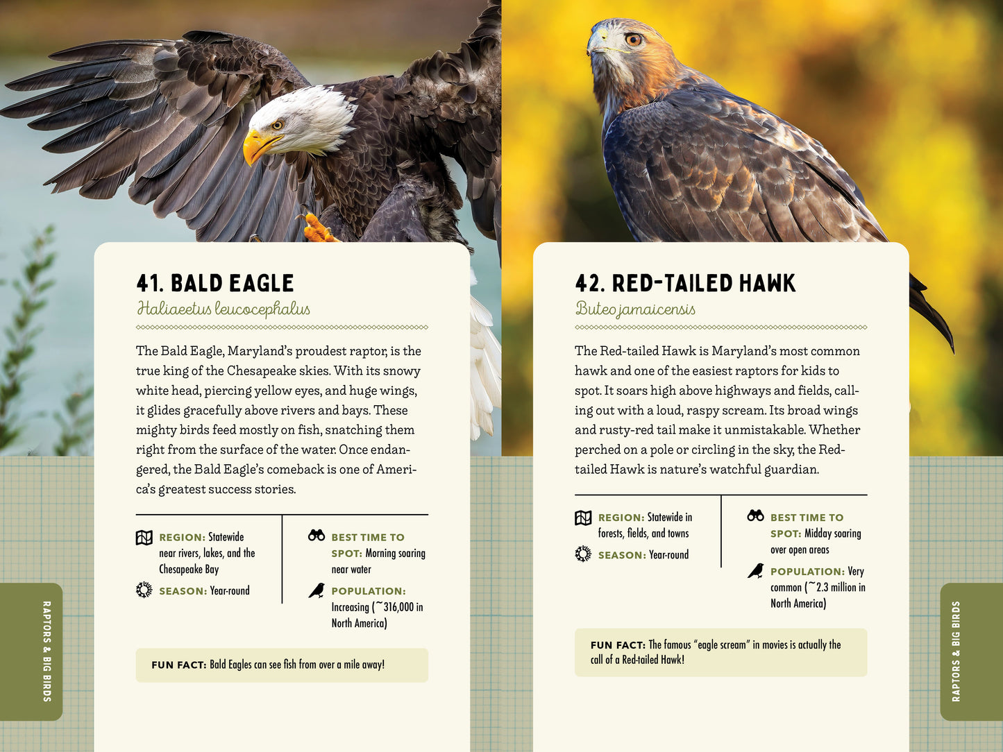 A Kid’s Guide to Birds of Maryland