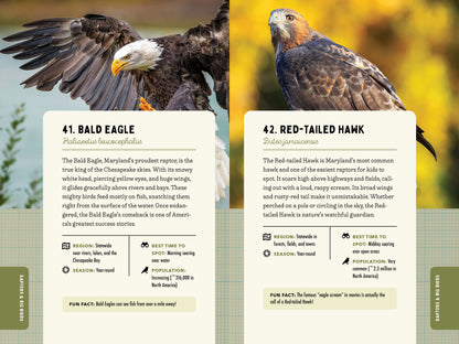 A Kid’s Guide to Birds of Maryland