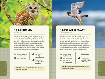 A Kid’s Guide to Birds of Maryland