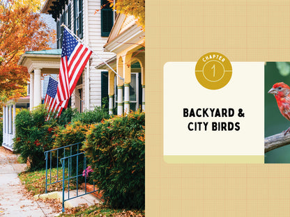 A Kid’s Guide to Birds of Maryland