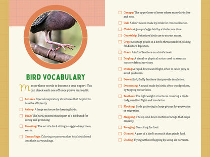 A Kid’s Guide to Birds of Maryland
