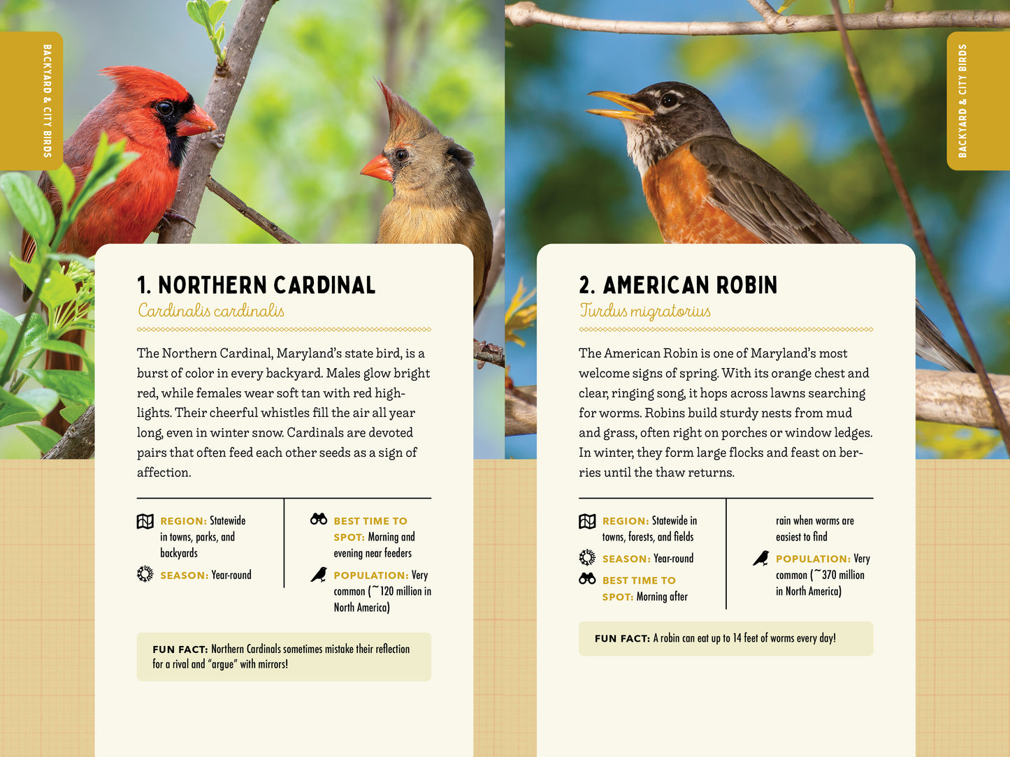 A Kid’s Guide to Birds of Maryland
