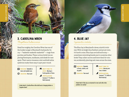 A Kid’s Guide to Birds of Maryland