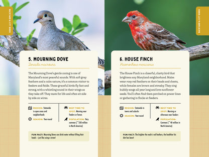 A Kid’s Guide to Birds of Maryland