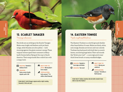 A Kid’s Guide to Birds of Maryland